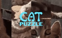 Cat Puzzle Game - Kitty Rebuild Challenge