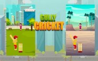Gully Cricket: Street Cricket Battle