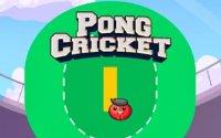 Pong Cricket - Arcade Sports Game