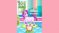 Pony Pet Salon