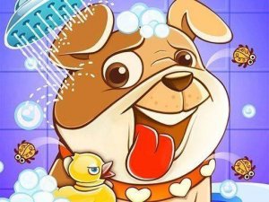 Pet Care Vet Daycare Adventure