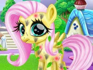 Little Pony Caretaker Online Game - Caring Game