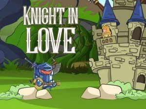 Castle Coin Run: A Family Puzzle Journey