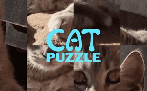 Cat Puzzle Game - Kitty Rebuild Challenge - Ludoryx free online game