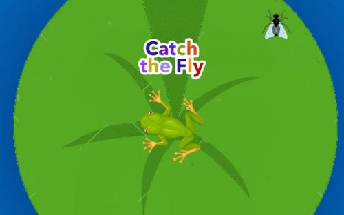 Catch the Fly - Classic Arcade Game - Ludoryx free online game