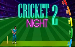 Cricket Night 2 Arcade Sports