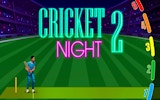 Cricket Night 2 Arcade Sports