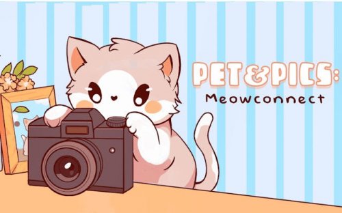 Pet&Pics Meowconnect - Cat Slide Puzzle Game - Ludoryx free online game