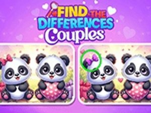 Partner Picture Match Challenge