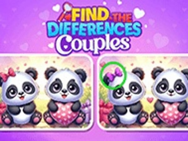 Partner Picture Match Challenge